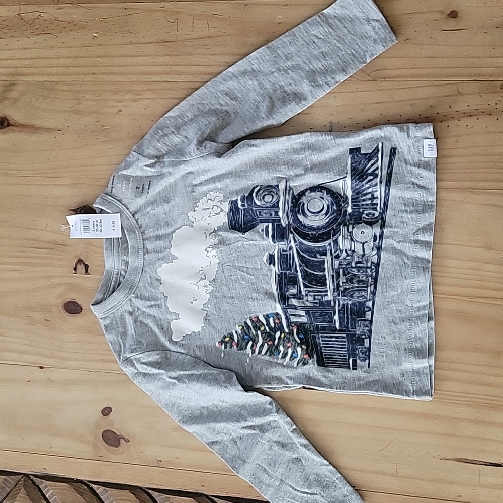 NWT  toddler boy long sleeve t shirt 2T